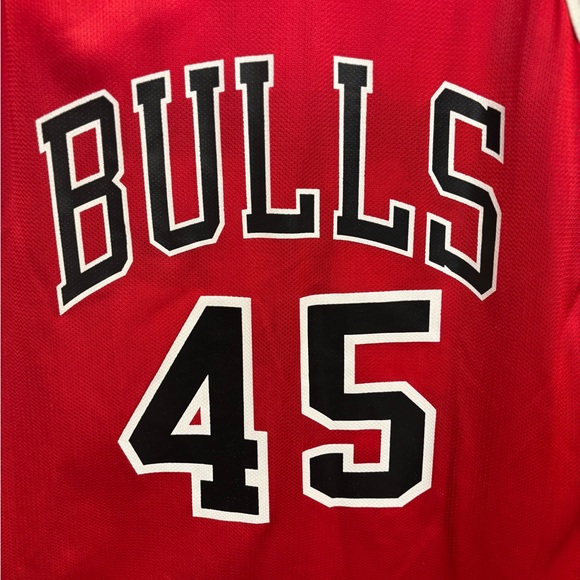 Champion Brand Bulls Jordan Jersey with Number 45 - Picture 3 of 5